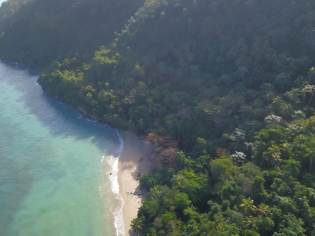Playa Jackson